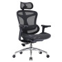SIHOO Doro C300 Chaise de Bureau Ergonomique avec Accoudoirs Ultra Doux en 3D, Soutien Lombaire Dynamique pour Chaise Bureau à D
