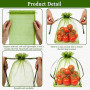 Noviatrix 50 Pièces Sac Protection Fruits, Sachet Protection Raisin, Sachets Organza Protection Contre Les Pucerons, Les Oiseaux