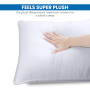 Utopia Bedding Pillow (Lot de 2), 50 x 70 cm, Oreiller de Sommeil, Coussin Respirant et Doux (Blanc)