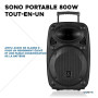 Vonyx Verve38 Enceinte Sono Portable 800W, Enceinte Bluetooth Puissante, 2 Micros sans Fil UHF, Poignées et roulettes de Transpo
