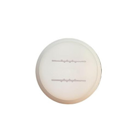 BNN - Pastaio - Mafalde Rigate large 25mm epaisseur 1mm PLMAFR25 - Pasta Disc compatible avec Pastaio Pasta Maker