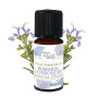 BORN TO BIO Huile Essentielle Romarin à Cinéole Bio - Favorise la Mémoire et la Concentration - 100% Pure et Naturelle - Proprié