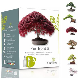 CULTIVEA® Mini Kit Prêt à Pousser 6 Bonsaï - Jardinez et décorez - Idée Cadeau (Red Mapple, Chinese Cercis, Albizia, Cornus Kous