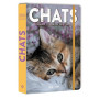 Agenda scolaire chats 2026-2027