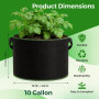 CHRORINE Lot de 6 sacs de culture de 10 gallons 300G - Pots en tissu d'aération épaissis avec poignées, adaptés pour la plantati