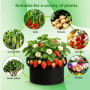 CHRORINE Lot de 6 sacs de culture de 10 gallons 300G - Pots en tissu d'aération épaissis avec poignées, adaptés pour la plantati