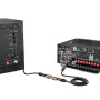 deleyCON 0,20m Câble Audio AUX RCA en Y - Câble Répartiteur pour Caisson de Basses - 1x Fiche vers 2x Prises RCA - Contacts Plaq