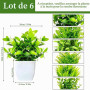 Purpledi 6 Pièces Mini Plantes Artificielles Verdure Plastique Faux Plantes avec Pot, Fausse Plante Interieur, Plante Artificiel