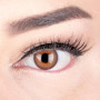Glamlens lentilles de couleur marron naturelles colorées très haute opacité Elly Hazel + étuis à lentilles de contact I 1 paire