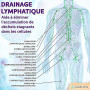Bâton de rouleau de massage en bois (12 rouleaux) – Outil de massage thérapeutique en bois pour la sculpture du corps, la libéra