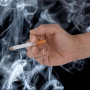 Lot de 2 Fausses Cigarettes Bouffantes - Accessoire de Costume - 8,3 cm - Durable et réaliste - Idéal pour Les fêtes à thème et