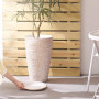 VEVOR Pot de Fleurs, Lot de 2, Grande Jardinière Plantes Conique 530 mm, Finition en Pierre, Design Élégant, Système de Drainage