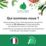 Voshuiles - Huile Essentielle Graines de Céleri - 10ml - 100% Pure et Naturelle - HEBBD - Utilisation en Massage dans Huile Végé