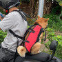 Harnais de Levage pour Animal Domestique - Sangle de mobilité Heavy Dut | pour chien - 120 cm réglable - Sangle fiable et sûre -