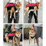 Harnais de Levage pour Animal Domestique - Sangle de mobilité Heavy Dut | pour chien - 120 cm réglable - Sangle fiable et sûre -