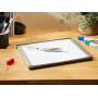 BIC Velleda 1711 Feutres pour Tableau Blanc Effaçables à Sec à Pointe Conique Moyenne - Couleurs Assorties, Etui Carton de 4