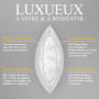 Oreiller 60x60 Plumes et Duvet Confort Oreillers Hôtel Coussin de Sommeil | Oreiller Plume 60x60, Coussins Hotellerie Luxe, Ergo