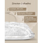 BPC Oreiller Plumes et Duvet d'oie 60x60 cm Lot de 2, 3 Chambres | 90% Duvet d'Oie en Chambres Extérieures | Housse 100% Coton B