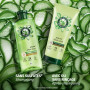 Herbal Essences Apaise Shampooing Coffret Aloe - Sans Sulfates | Hydrate, Nettoie et Nourrit Les Cheveux Très Secs. Parfum Jasmi