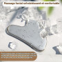 Flagest Gua Sha en Acier Inoxydable Visage, Guasha Pour Visage Metal | Outil de Massage, Effet Rafraîchissant Naturel, Pour Scul