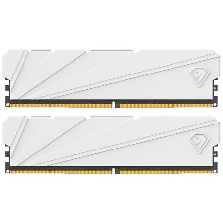 Netac Kit Station de Travail pour Ordinateur de Bureau 32 Go (2 x 16 Go) DDR4 3200 MHz C16 XMP 2.0 High Performance Blanc