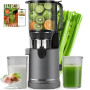 XTKKGFBIR SJ-065 Extracteur de Jus à Froid, 400W, Goulotte XL 152 mm | Pour fruits et légumes entiers, haut rendement, tamis 3-e