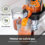 AMZCHEF Extracteur de Jus Juicer 120mm Grande Bouche, Presse Agrume Électrique Anti-Blocage 60Tr/Min, Jus Fruits et Légumes Haut
