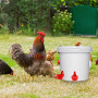 Dengthrive 14 Pcs Abreuvoir Automatique Poule Abreuvoir Poules 2 Forets | Distributeur Eau Poule Étanche Abreuvoir Poules Automa
