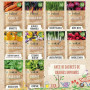 valeaf kit de graines de légumes - assortiment de semences prêt à pousser - 10 délicieuses variétés de légumes pour les enfants