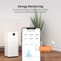 SONOFF S60TPF (DE Type) Prise Intelligente WiFi 16A, Prises de Courant, Contrôle à Distance et Programme de Temps via eWeLink AP
