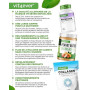 vit4ever Nattokinase - 365 Gélules de 100 mg (20.000 FU/g) - Haute dose | Pour 12 mois - Vegan - Sans OGM - Sans additifs inutil