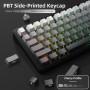 AJAZZ x Attack Shark X85 Clavier mécanique,Clavier de Jeu sans Fil 75% avec Knob,Rembourrage à 5 Couches,PBT Side-Printed Keycap