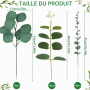JOZMMZEOOA 30 Pièces Eucalyptus Artificiel,Eucalyptus Fleurs Séchées | Feuillage Artificiel D'Eucalyptus Artificielles Branche D