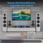 DoukAudio 600W Amplificateur 2/4 canaux : Sélecteur d'enceintes | Amplificateur numérique pour Eversolo DMP-A6 avec entrées XLR-