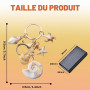 FISH DRAGATE porte clé mer et de coquillage,porte-clés avec boîte,keychain clé voiture sac à dos main,porte clef pour couples, s
