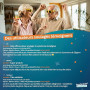 Xylimelts : Bouche Sèche 40 Pastilles Adhérentes Fruits Rouges| Soulage la Sécheresse Buccale Jour & Nuit| Action Jusqu’à 8h| Sa