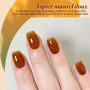 BORN PRETTY Vernis Gel Semi Permanent Transparent 6 Couleurs 7ml | Nuances automne hiver ambre cristal translucide rouge brun or