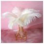 Anseom 12 Pièces Plumes d'Autruche Naturelles 20-25 cm pour Mariage, Couture, Artisanat, Costumes, Fête à Thème, Décoration de N