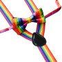 TRIXES 2 Noeud Papillon et Bretelles Arc-en-ciel Bretelles élastiques en forme de Accessoires pour Déguisements de Fête et Événe