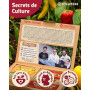 ZenGreens® Kit de Graines de Poivron bio - 6 variétés anciennes - Semences | de doux à relevé, croquant & aromatique, idée cadea