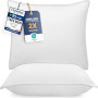 Utopia Bedding Oreillers 60x60cm Lot de 2, Coussins de Lit Blanc | Doux et Confortables, Garnissage Moelleux, Housse Respirante,