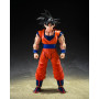 TAMASHII NATIONS - Dragon Ball Z - Son Goku (Le Saiyan au cœur pur) - Figurine d'action S.H.Figuarts