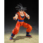 TAMASHII NATIONS - Dragon Ball Z - Son Goku (Le Saiyan au cœur pur) - Figurine d'action S.H.Figuarts