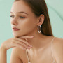 Adramata Boucle d'Oreille Acier Inoxydable Femme Zircon Cubique Creoles | Creoles Acier Inoxydable Boucles d'Oreilles Femme,Zirc
