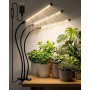 Bamworld Lampe végétale LED à spectre complet, lampe de culture d'intérieur avec minuterie et hauteur réglable, 3 lampes, noir