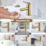 Mitigeur Lavabo en Acier Inoxydable Finition Or Brossé - Robinet Salle Bain | Robinet Lavabo avec Hauteur de Bec 79mm, Monocomma