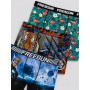 FREEGUN Pack Surprise Boxer Enfant Liberté de Mouvement, Modèle Aléatoire, Doux, Léger et Résistant (Lot de 5)