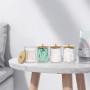 Miiepls Lot de 4 supports de maquillage en acrylique transparent | pour boules de coto, pour les Cotons-tiges et Démaquillants, 