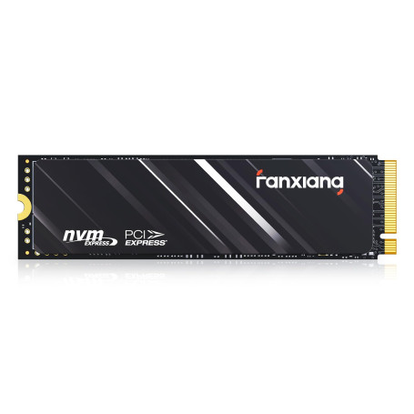 fanxiang SSD 1To NVMe PCIe 4x4 M.2 2280, jusqu'à 4800 Mo/s | 3D NAND, compatible avec PS5, idéal pour les gamers et professionne