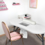 LARS360 Table de manucure pliable avec aspiration, pour salon de manucure, mobile avec roulettes, coussin, tiroir et sac de rang